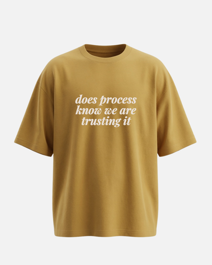 Does Process Know We Are Trusting It - Oversized Unisex T-shirt